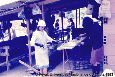 Participación de la comunidad en el proceso de construcción de viviendas
Peval, 1983
Palabras clave: Autoconstrucción Viviendas Marandua Bogota Mujeres