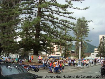 Parque de las Araucarias del Municipio de Santa Rosa de Cabal en Risaralda, Colombia
Cehap, 2010
Palabras clave: PARQUES ESPACIO PUBLICO