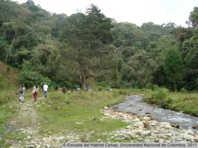 Caminata ecológica por el refugio de vida silvestre del Alto de San Miguel en Caldas (nacimiento del Río Medellín)
Cehap, 2011
Palabras clave: Recursos hídricos Medellín Quebradas