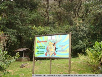 Refugio de vida silvestre del Alto de San Miguel en Caldas
Cehap, 2011
Palabras clave: Alto de San Miguel Caldas