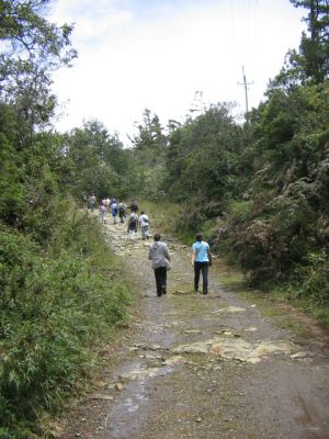 Caminta por sendero ecologico del Parque Ecologico de Piedras Blancas
CEHAP, 2006
Palabras clave: SANTA ELENA RESERVA ECOLOGICA ARVI