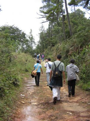 Caminta por sendero ecologico del Parque Ecologico de Piedras Blancas
CEHAP, 2006
Palabras clave: SANTA ELENA RESERVA ECOLOGICA ARVI