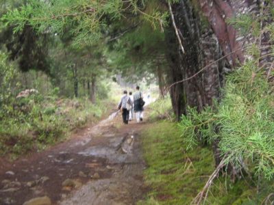 Sendero en el Parque Ecologico Piedras Blancas
Cehap, 2006
Palabras clave: SANTA ELENA RESERVA ECOLOGICA ARVI