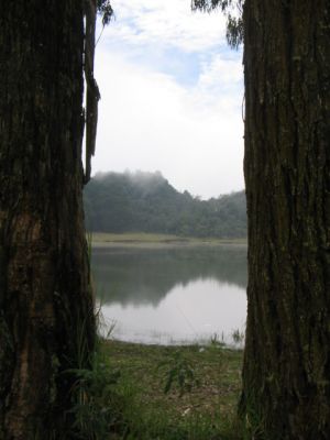 Vista de la Laguna de Guarne en el Parque Ecologico Piedras Blancas
Cehap, 2006
Palabras clave: SANTA ELENA RESERVA ECOLOGICA LAGUNAS ARVI
