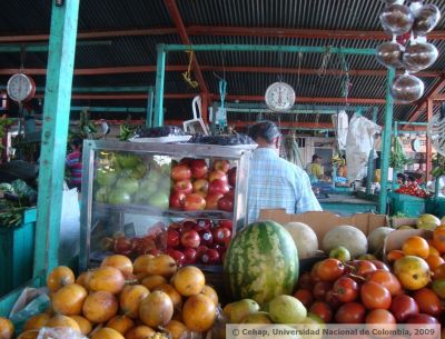 Puestos de venta de frutas en Plaza de mercado de barrio de Ibague
Cehap, 2009
Palabras clave: MERCADOS IBAGUE