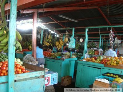 Puestos de venta de frutas en Plaza de mercado de barrio de Ibague
Cehap, 2009
Palabras clave: MERCADOS IBAGUE