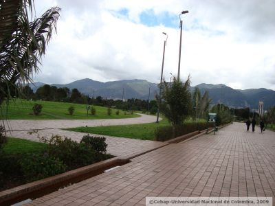 Parque en las afueras de la Biblioteca virgilio Barco de Bogota
CEHAP, 2009
Palabras clave: PARQUES BOGOTA