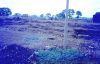 D2967_28Copiar29.jpg