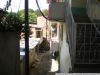 Iguana-Mayo_de_2008_281929_28Copiar29.JPG