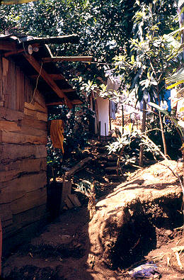 Parte trasera de rancho
CEHAP-1987
Palabras clave: RANCHOS VILLATINA