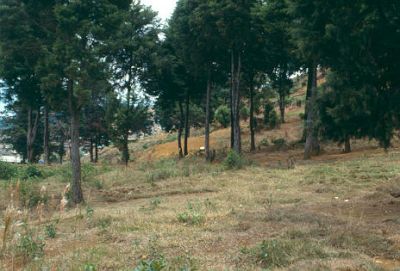 Zona verde
CEHAP-1987
Palabras clave: ZONA VERDE PAISAJE