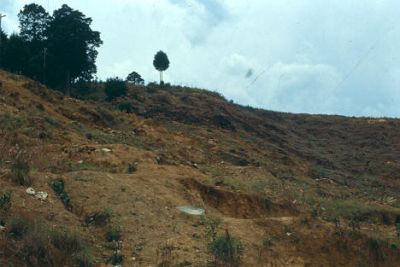 Terrenos sin construir en el Barrio Villatina en 1987
CEHAP-1987
Palabras clave: Villatina Barrio