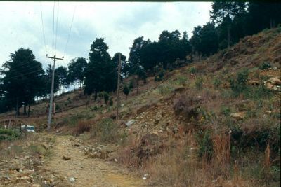 Terreno baldo
CEHAP-1987
Palabras clave: TERRENO PAISAJE