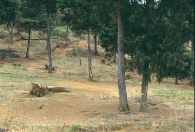 Zona de paisaje natural
CEHAP-1987
Palabras clave: PAISAJE TERRITORIO