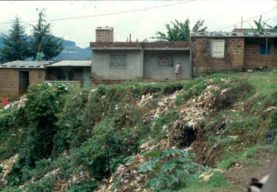 Vertedero de basuras cerca vivienda en el barrio Villatina
CEHAP
Palabras clave: BASURAS VILLATINA