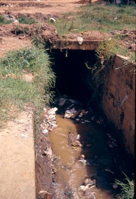 Disposicion de basuras en Quebrada de Villatina
CEHAP-1987
Palabras clave: CONTAMINACION VILLATINA