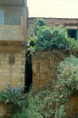 Viviendas en alto riesgo de derrumbe
CEHAP-1987
Palabras clave: VIVIENDA ZONAS DE RIESGO VILLATINA
