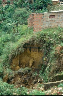 Vivienda construida en ladera en el barrio Villatina
CEHAP-1987
Palabras clave: VIVIENDA EN LADERA VILLATINA ZONAS DE RIESGO