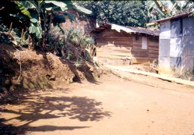 Viviendas en madera calle en mal estado
CEHAP-1987
Palabras clave: VIVIENDA MADERA VILLATINA INVASION