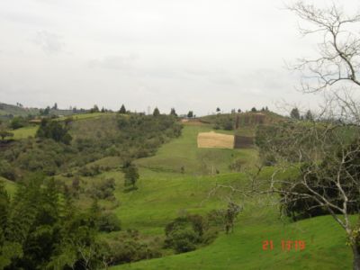 Paisaje del Corregimiento de Santa Elena
2005
Palabras clave: SANTA ELENA