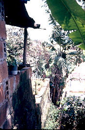 Exterior de vivenda Moravia
Gilberto Arango 1988
Cehap



Palabras clave: MORAVIA VIVIENDA