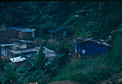 Viviendas en zona de riesgo Los Caunces Medellín
CEHAP 1982




Palabras clave: BARRIO LOS CAUNCES MEDELLIN