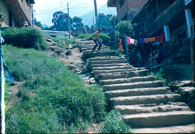 Escalas de acceso a las viviendas en el barrio Los Caunces
Cehap 1982




Palabras clave: BARRIOS POPULARES LOS CAUNCES ESCALERAS MEDELLIN