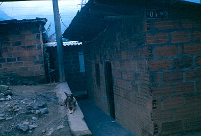 Fachada de vivienda Los Caunces
Cehap 1982




Palabras clave: BARRIO LOS CAUNCES MEDELLIN