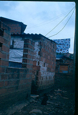 Vivienda en construccion Los Caunces 
Cehap 1982




Palabras clave: BARRIO LOS CAUNCES MEDELLIN
