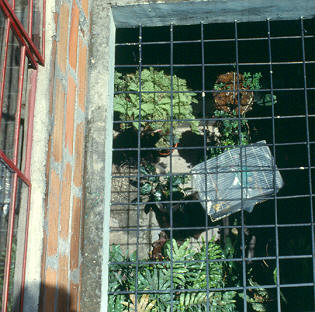 Patio de vivienda en el barrio El Diamante
CEHAP 1983

 


Palabras clave: BARRIO EL DIAMANTE PATIOS