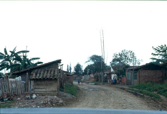 Calle sin pavimentar, barrios de Cali
CEHAP 1983




Palabras clave: BARRIOS CALI