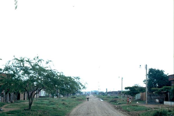 Calle sin pavimentar, barrios de Cali
CEHAP 1983




Palabras clave: BARRIOS CALI