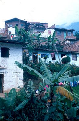 Viviendas y plataneras Los Caunces Medellin
Cehap 1982




Palabras clave: BARRIO LOS CAUNCES MEDELLIN