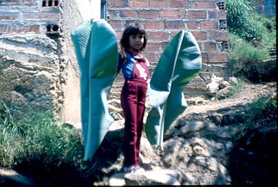 Nina con ojas de platano al lado de una vivienda
Cehap 1982




Palabras clave: BARRIO LOS CAUNCES MEDELLIN
