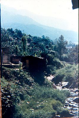 Quebrada Los Caunces
Cehap 1982




Palabras clave: BARRIO LOS CAUNCES QUEBRADAS MEDELLIN