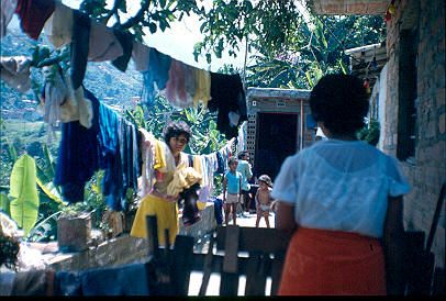 Tendedero de ropa de vivienda Los Caunces 
Cehap 1982




Palabras clave: BARRIO LOS CAUNCES MEDELLIN