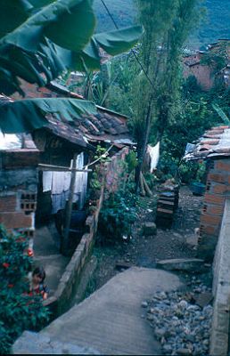 Vias de acceso a viviendas en el barrio Los Caunces
Cehap 1982




Palabras clave: BARRIO LOS CAUNCES MEDELLIN CALLES