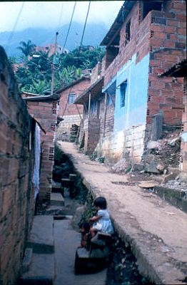 Senderos de acceso a las viviendas en Los Caunces
Cehap 1982




Palabras clave: BARRIO LOS CAUNCES CALLES MEDELLIN