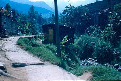 Vivienda subnormal construida encima de la quebrada Los Caunces
Cehap 1982




Palabras clave: BARRIO LOS CAUNCES ZONAS DE RIESGO MEDELLIN