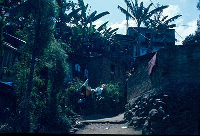 Solar de Vivienda Los Caunces
Cehap 1982




Palabras clave: BARRIO LOS CAUNCES MEDELLIN