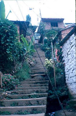 Escalas de acceso a las viviendas en el Barrio Los Caunces
Cehap 1982




Palabras clave: BARRIOS POPULARES LOS CAUNCES ESCALERAS MEDELLIN