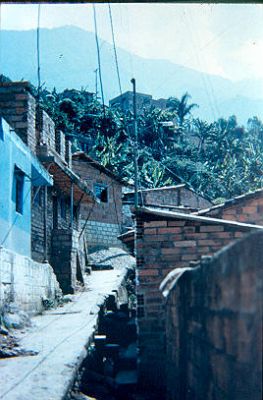 Sendero peatonal de acceso a las viviendas 
Cehap 1982




Palabras clave: BARRIO LOS CAUNCES MEDELLIN