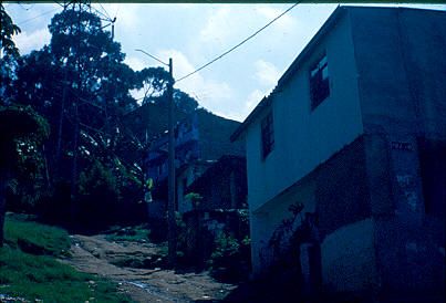 Viviendas en pendiente Los Caunces
Cehap 1982




Palabras clave: BARRIO LOS CAUNCES MEDELLIN