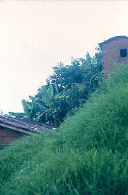 Manga en Los Caunces 
Cehap 1982




Palabras clave: BARRIO LOS CAUNCES MEDELLin