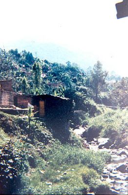 Viviendas encima de la quebrada Los Caunces
Cehap 1982




Palabras clave: BARRIO LOS CAUNCES MEDELLIN ZONAS DE RIESGO