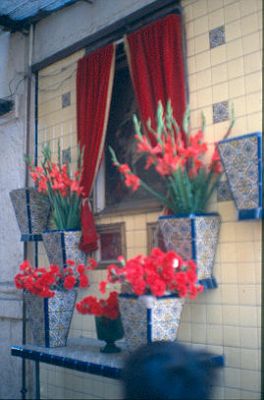 Altar a la virgen en el BarrioTepito, Mexico
CENVI 1984




Palabras clave: MEXICO RELIGIOSIDAD POPULAR