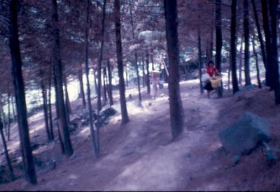 Personas en bosque Barrio Aures
CEHAP 1983
Palabras clave: AURES MEDELLIN
