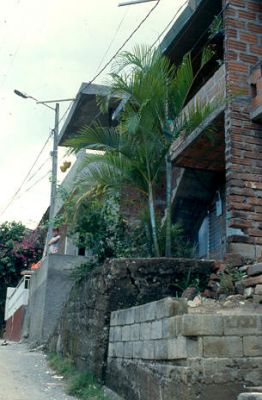 Parte exterior de viviendas en el barrio el Diamante
CEHAP 1983




Palabras clave: BARRIO EL DIAMANTE