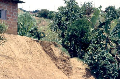 Vivienda cerca a borde talud Barrio la Libertad
Cehap 1983




Palabras clave: BARRIO LA LIBERTAD ZONAS DE RIESGO
