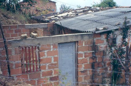 Vivienda en construcción, barrio La Libertad
CEHAP 1983




Palabras clave: BARRIO LA LIBERTAD